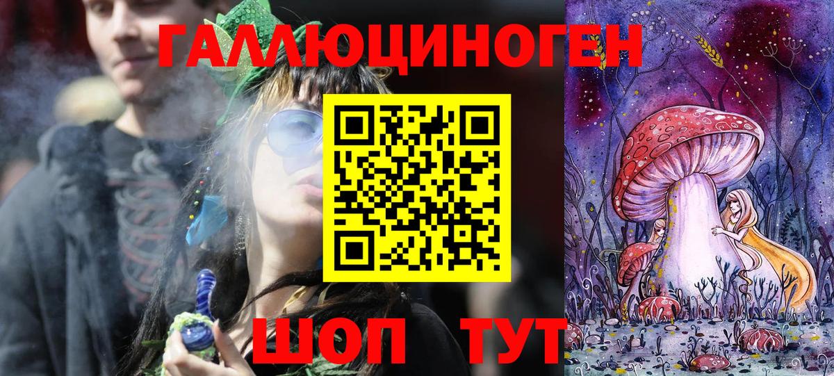 Галлюциногенные грибы мухоморы Карачаевск